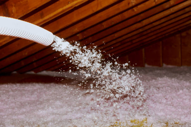 Best Commercial Insulation in Trenton, TN