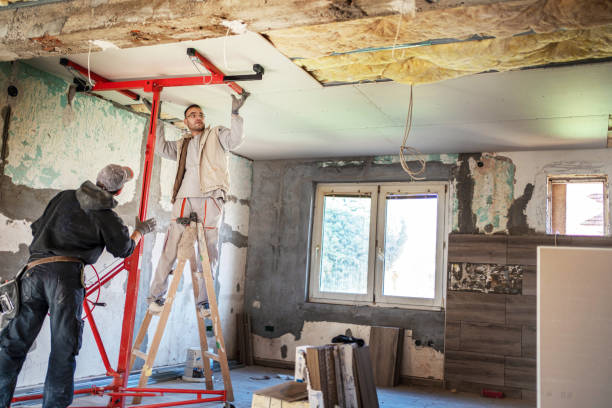 Best Geographic-Specific Insulation Services in Trenton, TN