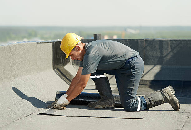 Best Eco-Friendly Insulation in Trenton, TN