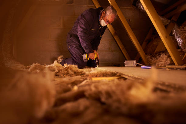 Best Cellulose Insulation in Trenton, TN