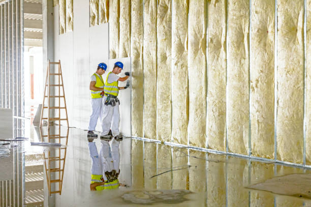 Types of Insulation We Offer in Trenton, TN